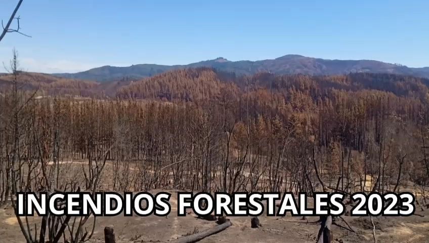 Incendios Forestales en Chile – 2023