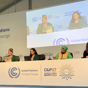 Declaração: Acabou o tempo, a COP27 deve entregar