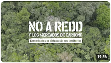 Documental: NO a REDD y los mercados de carbono