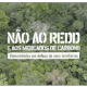 Documentário: NÃO ao REDD e aos mercados de carbono