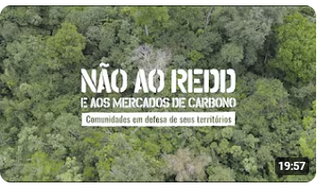 Documentário: NÃO ao REDD e aos mercados de carbono