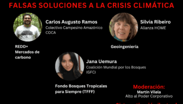 2do webinar